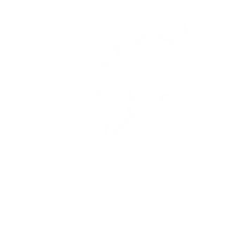 Onlinekurs Icon