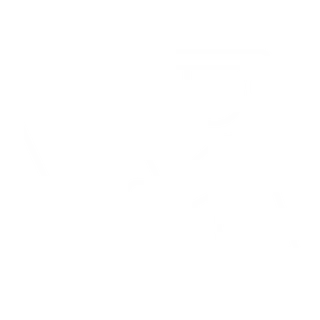 Onlinekurs Icon