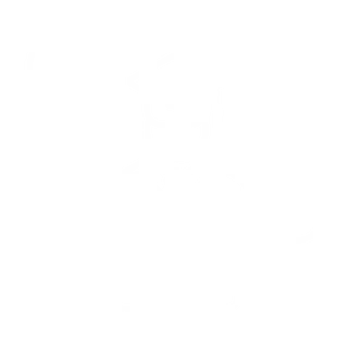 Onlinekurs Icon