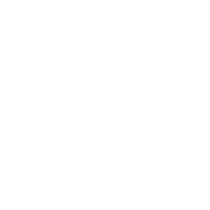 Rakete Icon